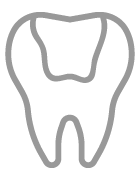 Glass Ionomer (Coloured Tooth)