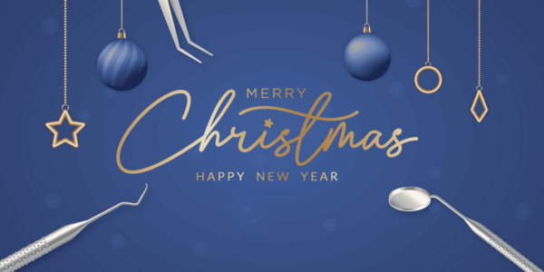 Christmas-2024-blog-3
